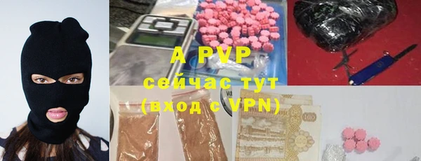 PSILOCYBIN Лагань