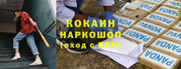 PSILOCYBIN Лагань